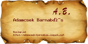 Adamcsek Barnabás névjegykártya