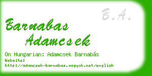 barnabas adamcsek business card